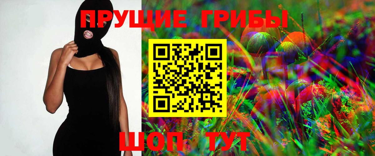 Галлюциногенные грибы Psilocybe Нижнеудинск