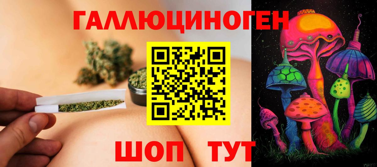 Псилоцибиновые грибы прущие грибы  Вход с VPN  Нижнеудинск 